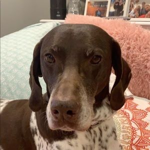 Meet your Posher, Madeline